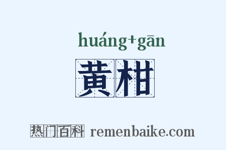 黄柑是什么意思的图片